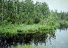 Keikonjoki2